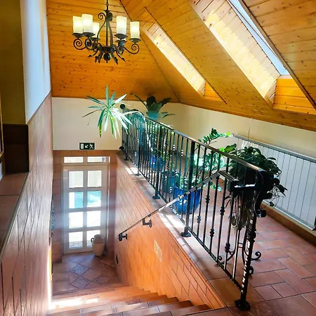 Fedasz Dental Szallashely Bed & Breakfast 3*