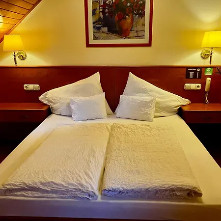 Fedasz Dental Szallashely Bed & Breakfast