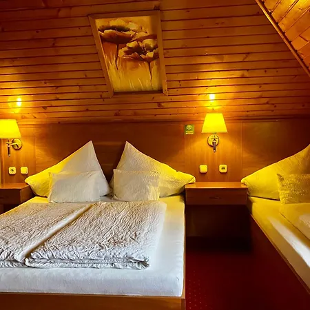 Fedasz Dental Szallashely Bed & Breakfast